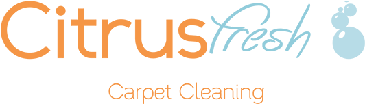Carpet Cleaners Acworth, GA | Professional Carpet Cleaning